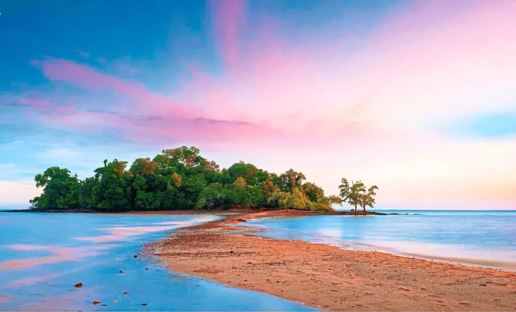 Credit Picture - The Star