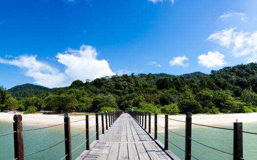 Credit Picture- Flickr