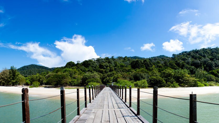 Credit Picture- Flickr