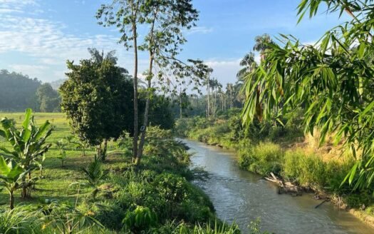 Laman Eden Farm Campsite