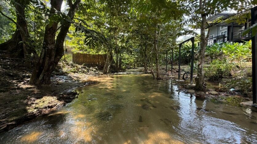 Bee River Home - The Rihla Explorer (11)