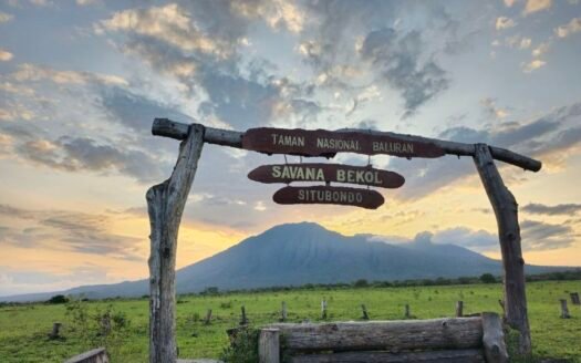 Credit Picture - Travel Kompas