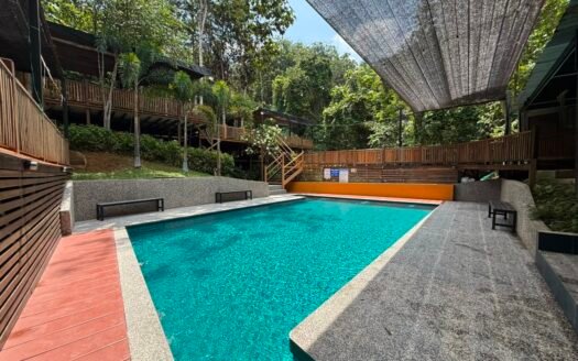 Rasa Hill